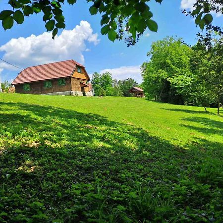 Villa Bakina Iza à Duga Resa Extérieur photo