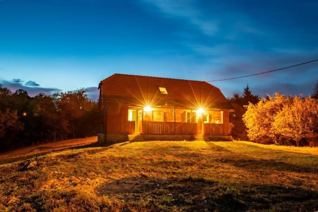 Villa Bakina Iza à Duga Resa Extérieur photo