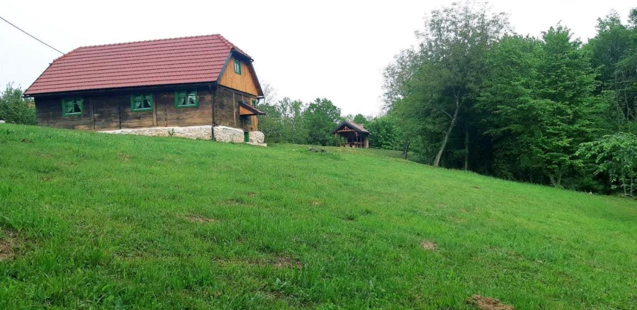 Villa Bakina Iza à Duga Resa Extérieur photo