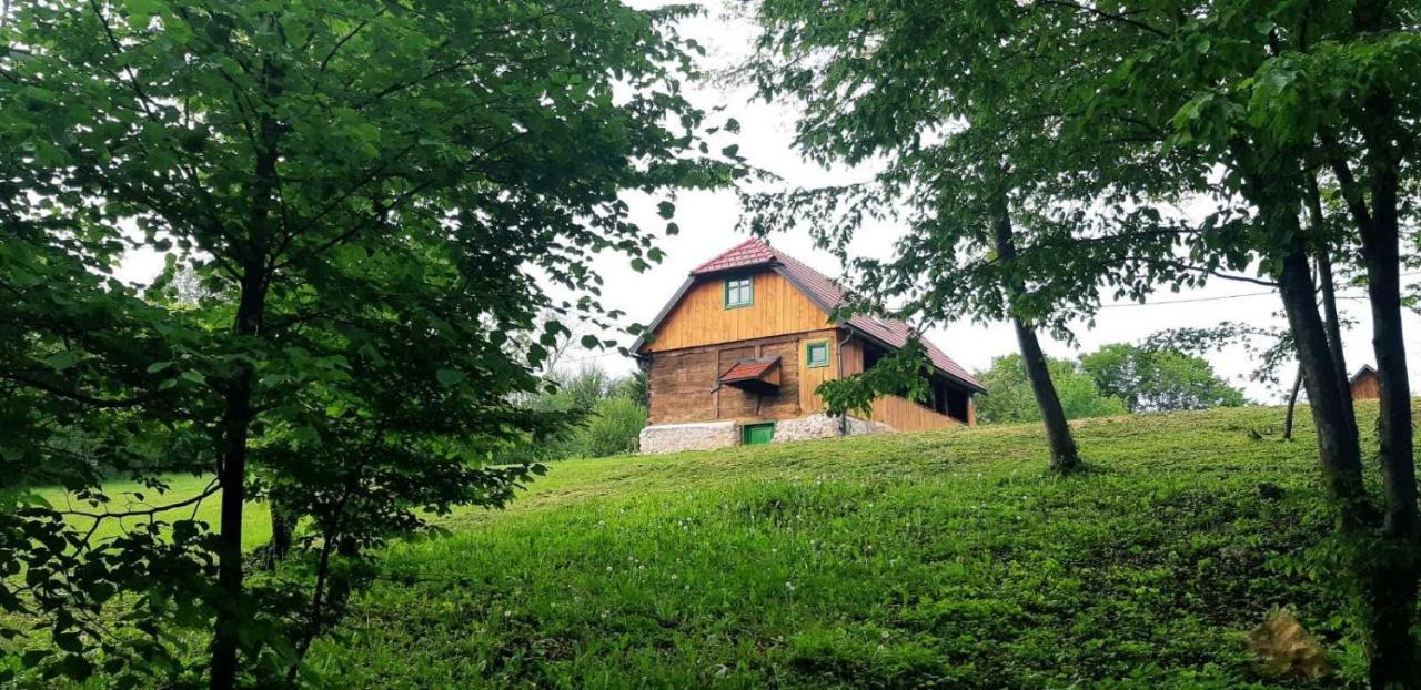 Villa Bakina Iza à Duga Resa Extérieur photo