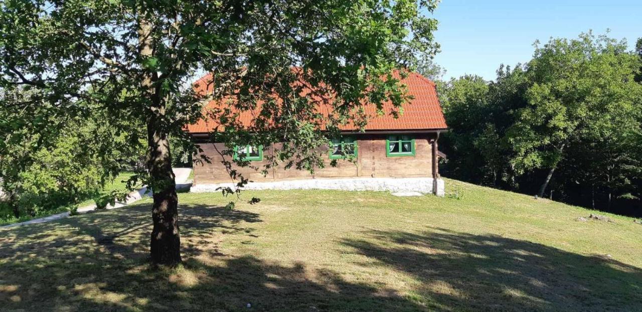 Villa Bakina Iza à Duga Resa Extérieur photo