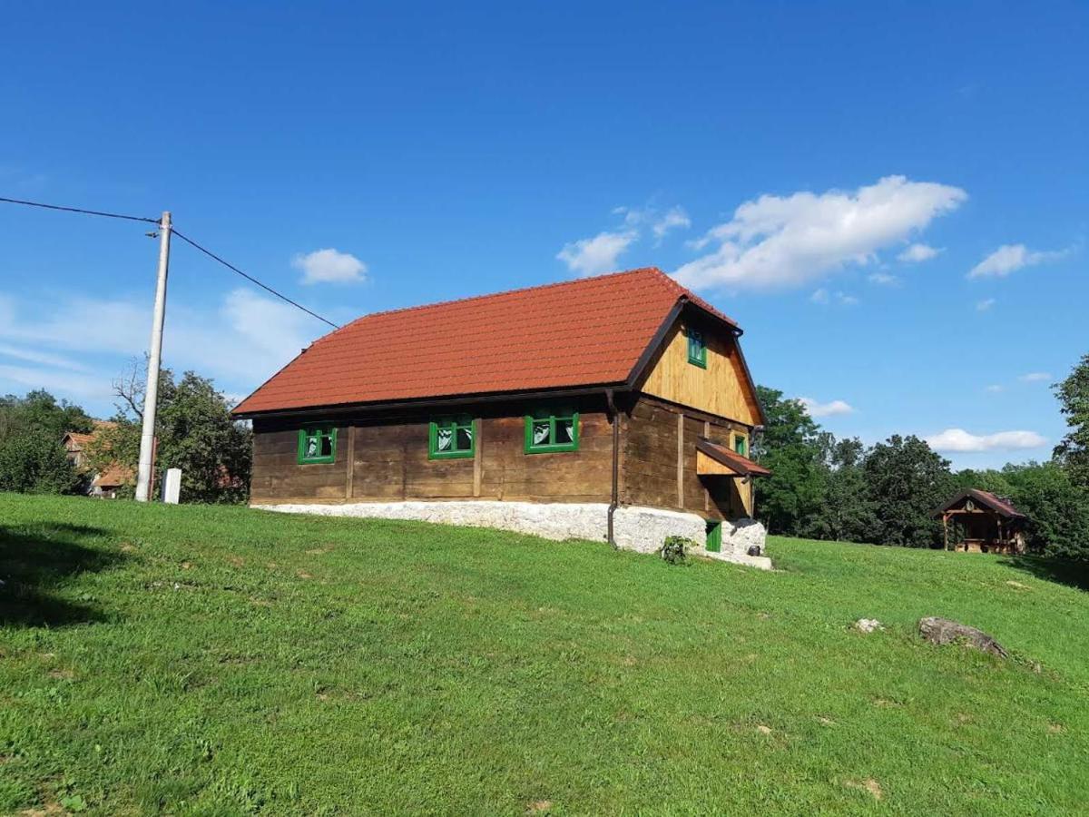 Villa Bakina Iza à Duga Resa Extérieur photo