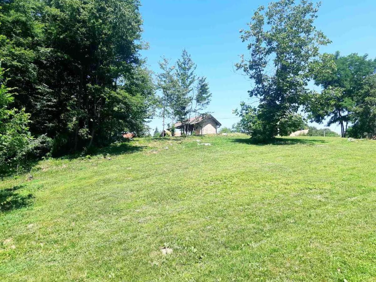Villa Bakina Iza à Duga Resa Extérieur photo