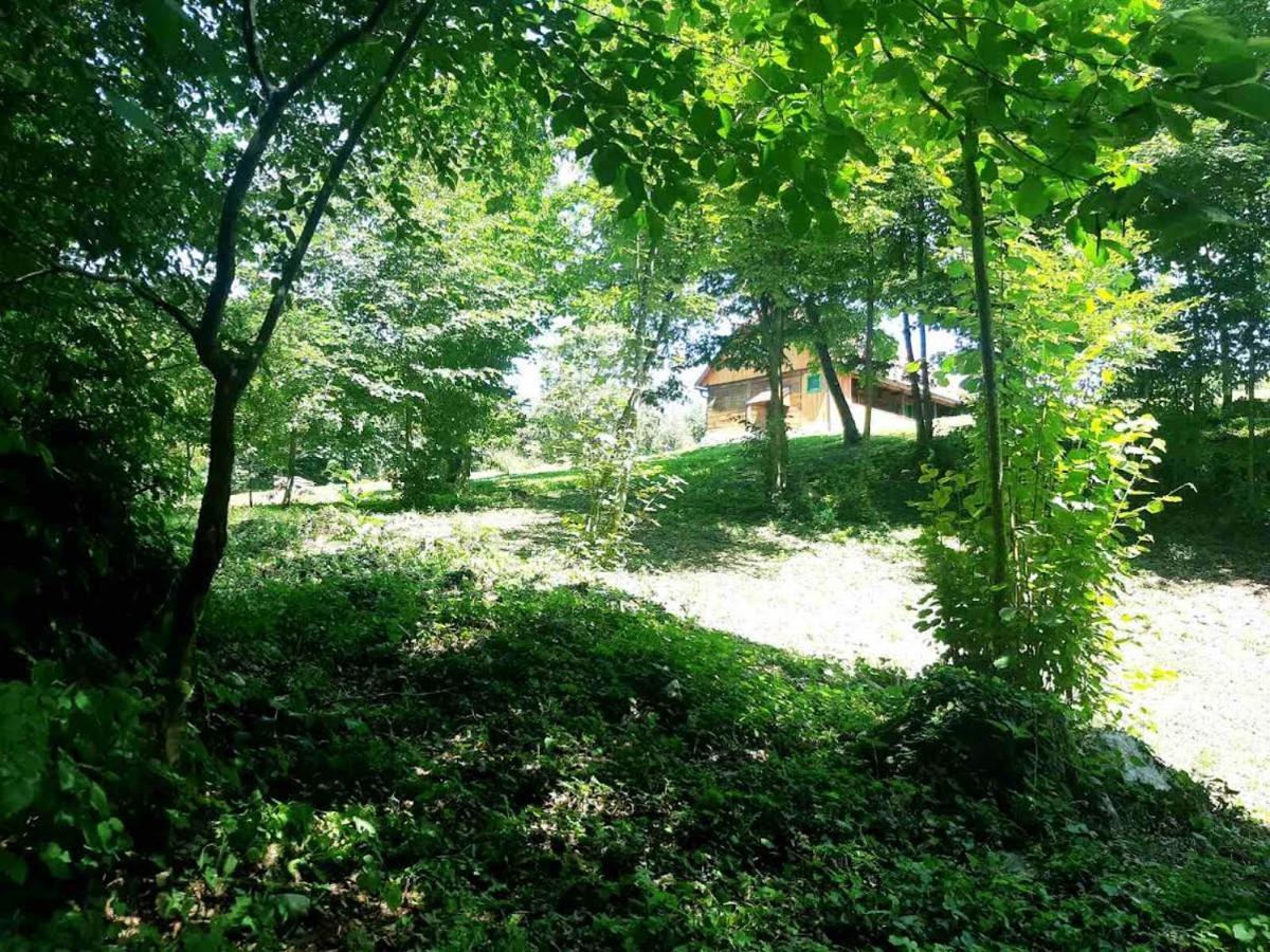 Villa Bakina Iza à Duga Resa Extérieur photo