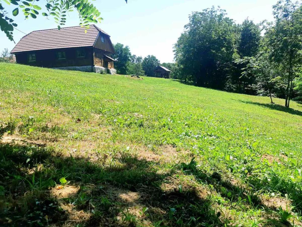 Villa Bakina Iza à Duga Resa Extérieur photo