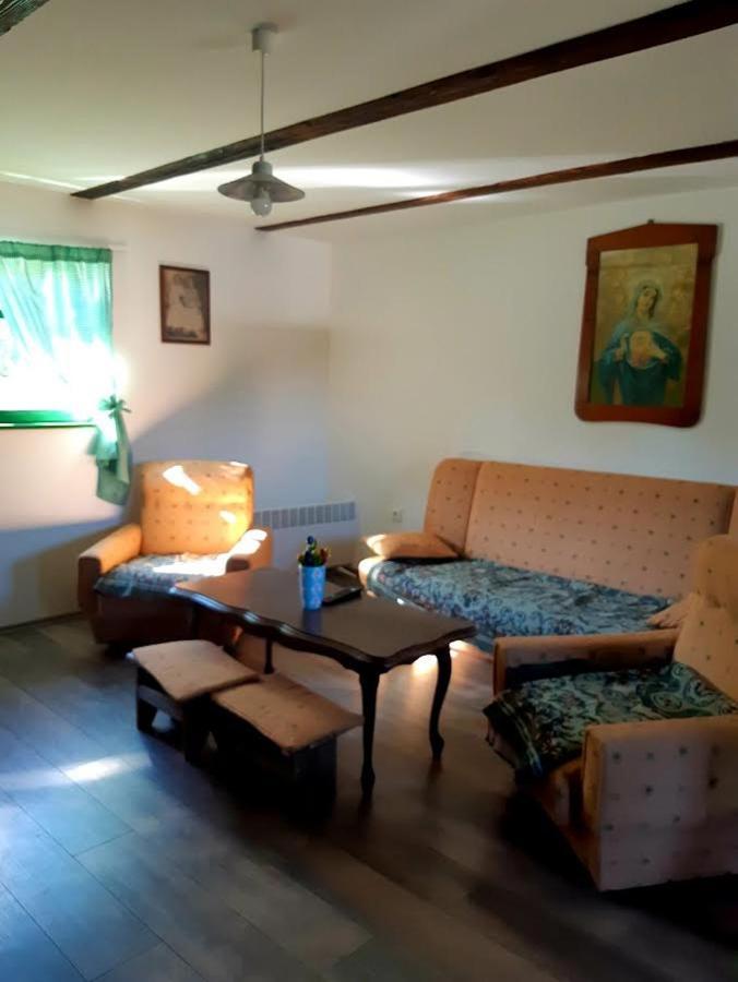 Villa Bakina Iza à Duga Resa Extérieur photo