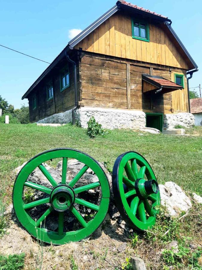 Villa Bakina Iza à Duga Resa Extérieur photo