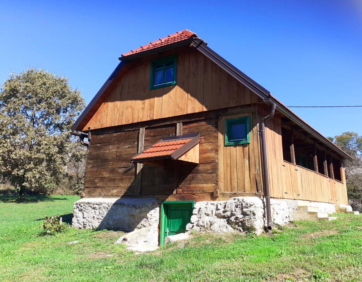 Villa Bakina Iza à Duga Resa Extérieur photo