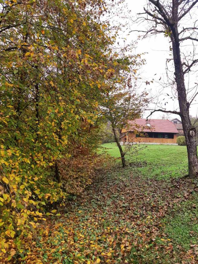 Villa Bakina Iza à Duga Resa Extérieur photo