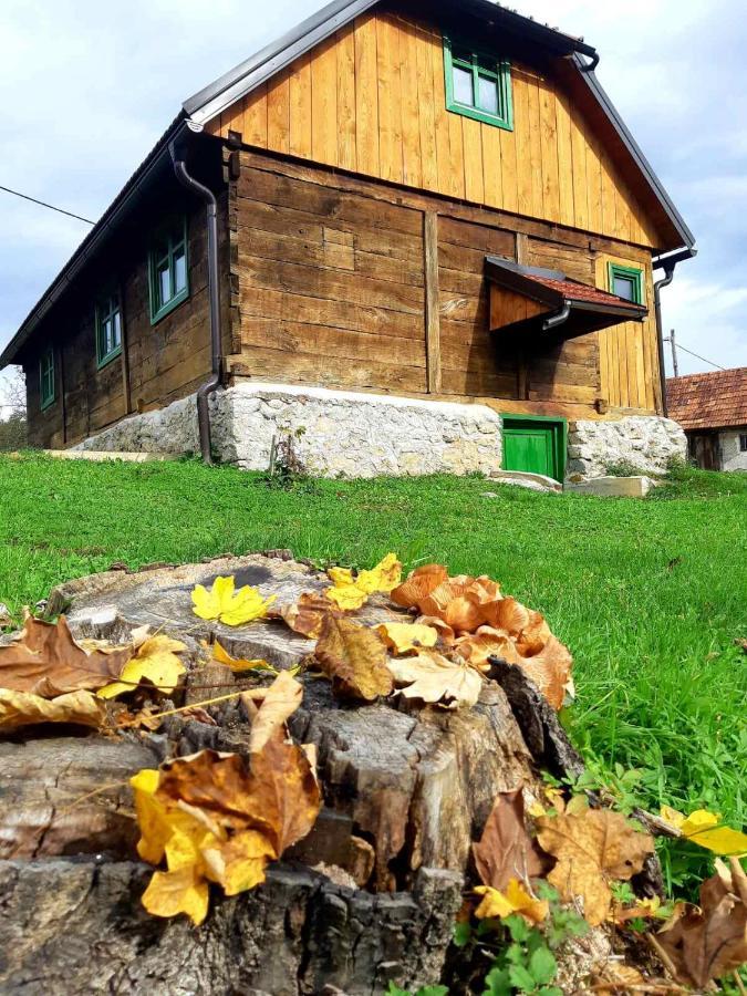 Villa Bakina Iza à Duga Resa Extérieur photo
