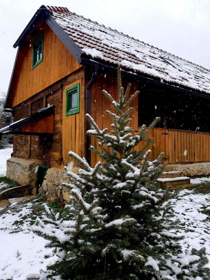 Villa Bakina Iza à Duga Resa Extérieur photo