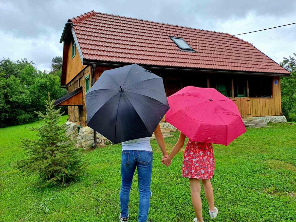 Villa Bakina Iza à Duga Resa Extérieur photo