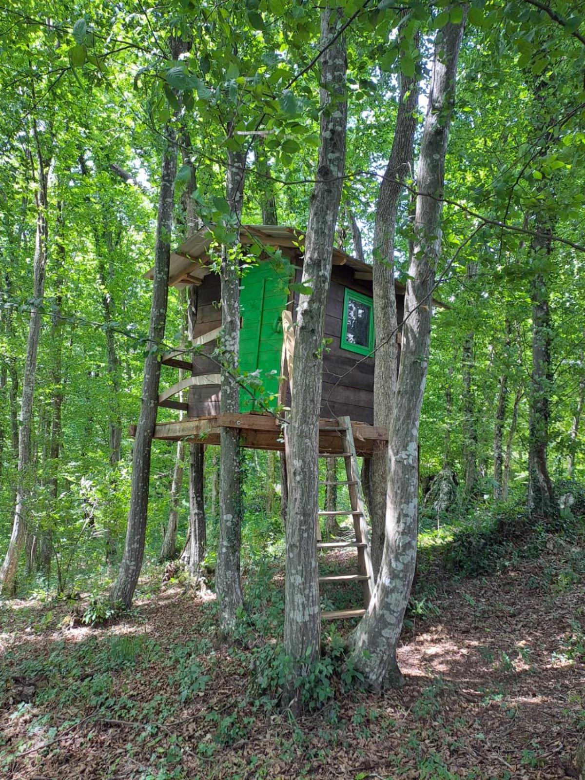 Villa Bakina Iza à Duga Resa Extérieur photo